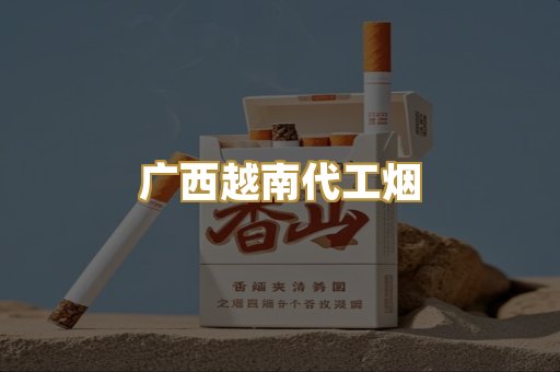 广西越南代工烟